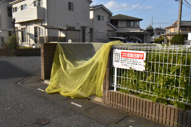 ��ʌ��k�����S�ɓޒ����h��P���ڂ̃A�p�[�g�̂��̑�