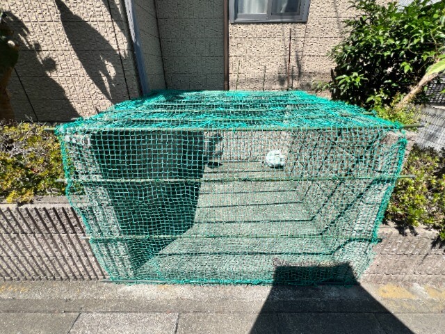 ��ʌ�����s�厚���s�̃A�p�[�g�̂��̑�