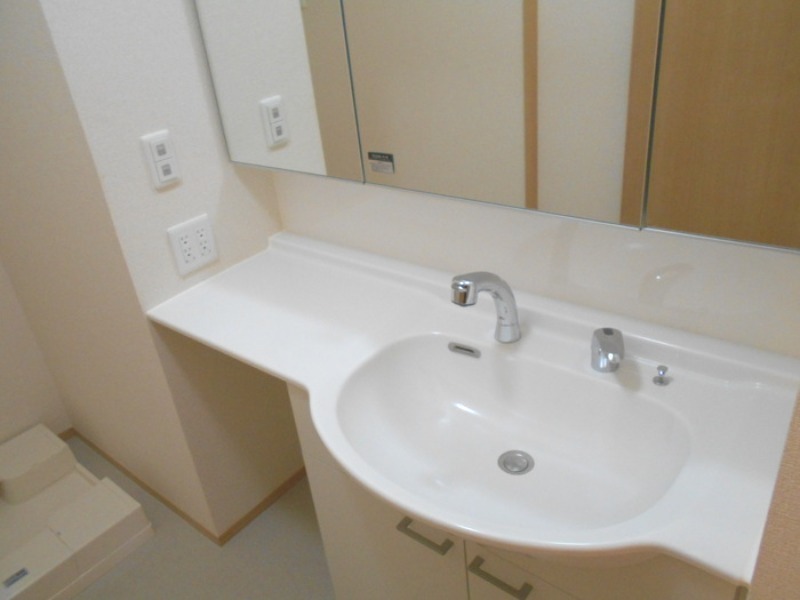 ��ʌ��z�J�s���C�N�^�E���U���ڂ̃A�p�[�g�̐��ʏ�