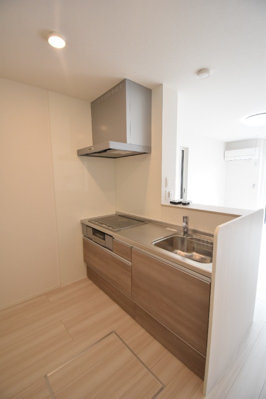 ��ʌ��������܎s��{��O���P���ڂ̃A�p�[�g�̃L�b�`��