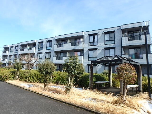 ��ʌ��������܎s�k��{�����Q���ڂ̃A�p�[�g�̌����O��