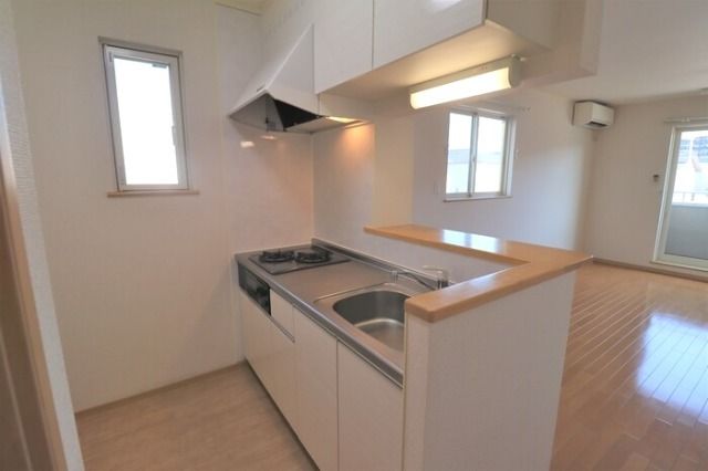 ��ʌ��z�J�s���C�N�^�E���T���ڂ̃A�p�[�g�̃L�b�`��