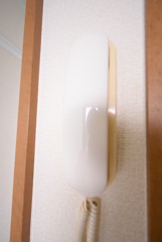 ��ʌ��������܎s�����擇���̃A�p�[�g�̂��̑�