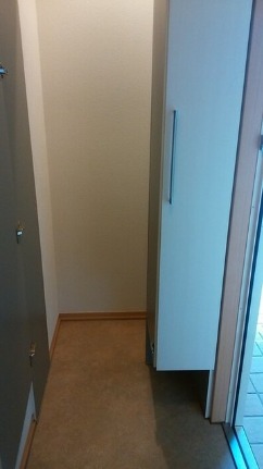 ��ʌ�����s�厚�����̃A�p�[�g�̌���