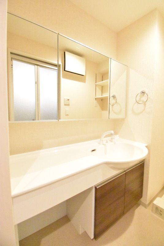 ��ʌ�����s������S���ڂ̃}���V�����̐��ʏ�