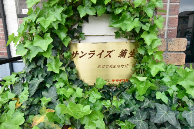 ��ʌ��z�J�s���������̃A�p�[�g�̎���