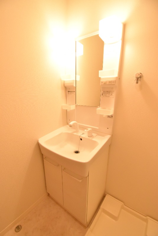 ��ʌ�����s�厚�҂̃A�p�[�g�̐��ʏ�