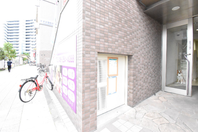 ��ʌ�����s�厚���̃}���V�����̂��̑�