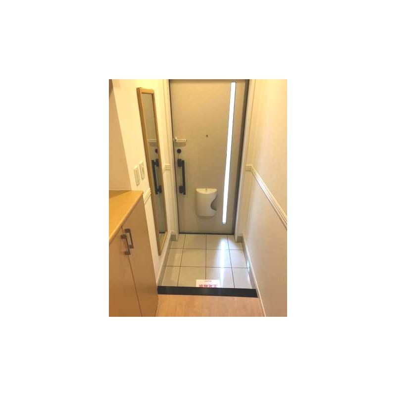 ��ʌ��z�J�s���C�N�^�E���P���ڂ̃}���V�����̌���