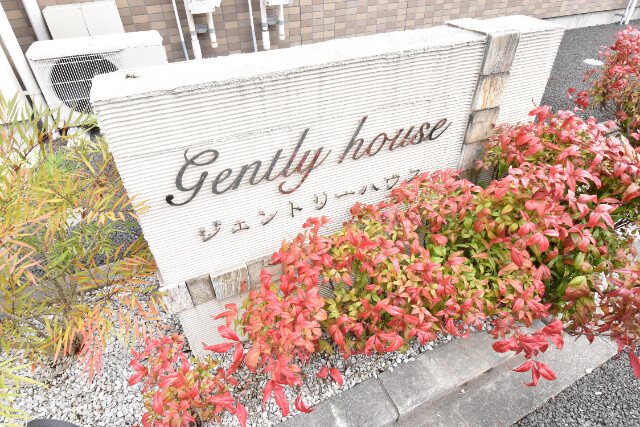 ��ʌ��z�J�s���C�N�^�E���P���ڂ̃}���V�����̂��̑�