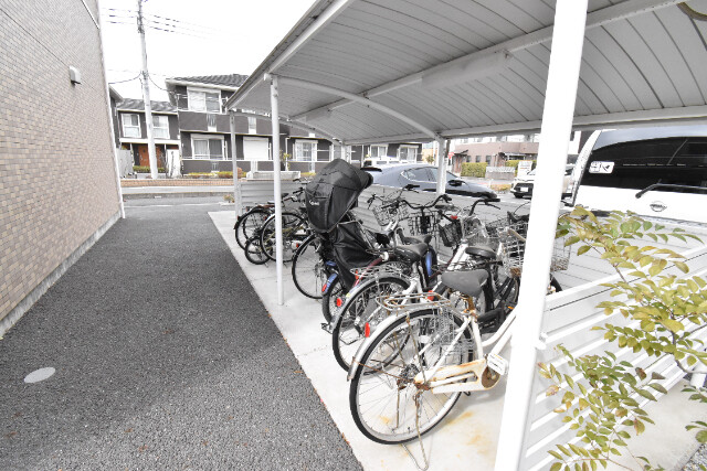 ��ʌ��z�J�s���C�N�^�E���P���ڂ̃}���V�����̂��̑�