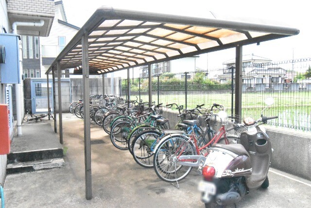 ��ʌ��������܎s����厚���V�n�̃}���V�����̂��̑�