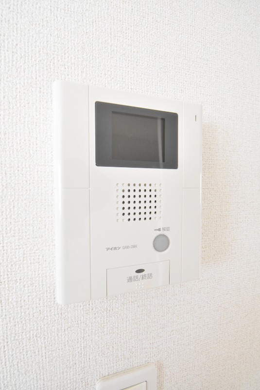 ��ʌ��������܎s����厚�w��̃}���V�����̂��̑�