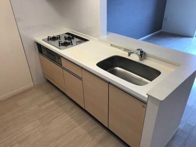 ��ʌ��������܎s�΋�Ō��Q���ڂ̃A�p�[�g�̃L�b�`��