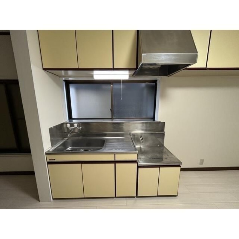 ��ʌ�����s�厚������̃A�p�[�g�̃L�b�`��