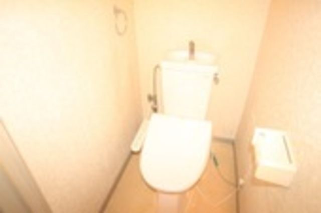 ��ʌ������s�������̃}���V�����̃g�C��