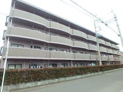 ��ʌ��������܎s�k��{����243�̃}���V�����̌����O��