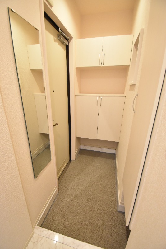 ��ʌ��z�J�s���C�N�^�E���V���ڂ̃A�p�[�g�̌���