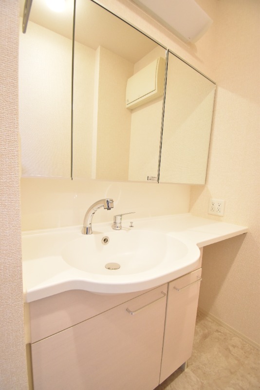 ��ʌ��z�J�s���C�N�^�E���V���ڂ̃A�p�[�g�̐��ʏ�