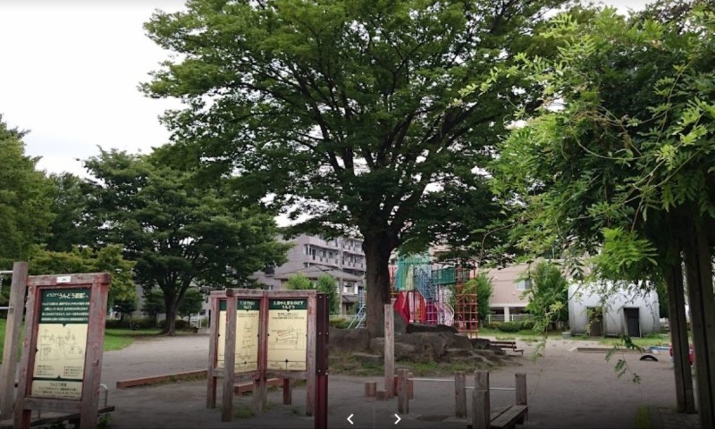 ��ʌ��������܎s�΋擌�Y�a�X���ڂ̃}���V�����̎���