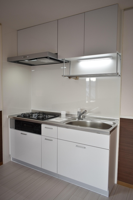 ��ʌ��������܎s����O���U���ڂ̃A�p�[�g�̃L�b�`��