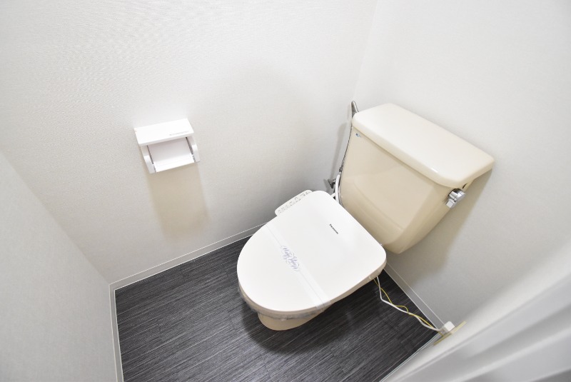 ��ʌ�����s�厚���s���̃}���V�����̃g�C��