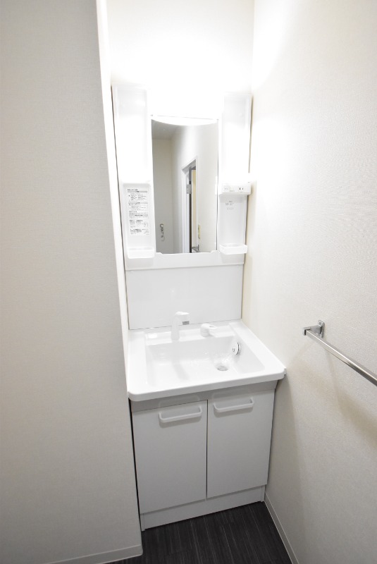 ��ʌ�����s�厚���s���̃}���V�����̐��ʏ�