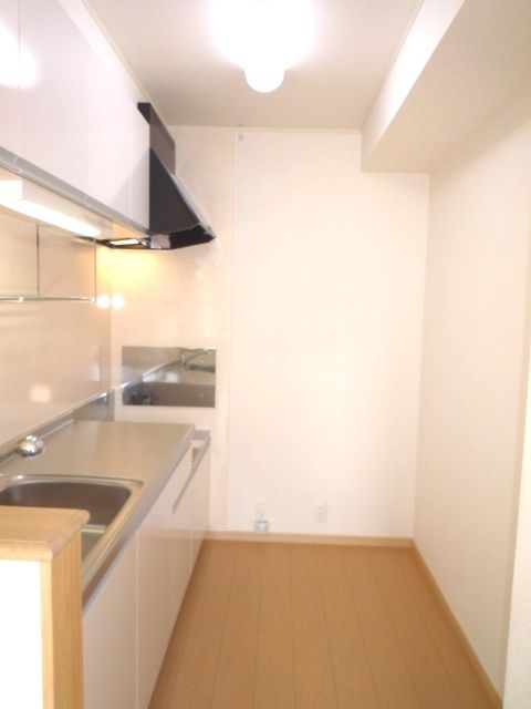 ��ʌ��������܎s��{�捂�@���P���ڂ̃A�p�[�g�̃L�b�`��