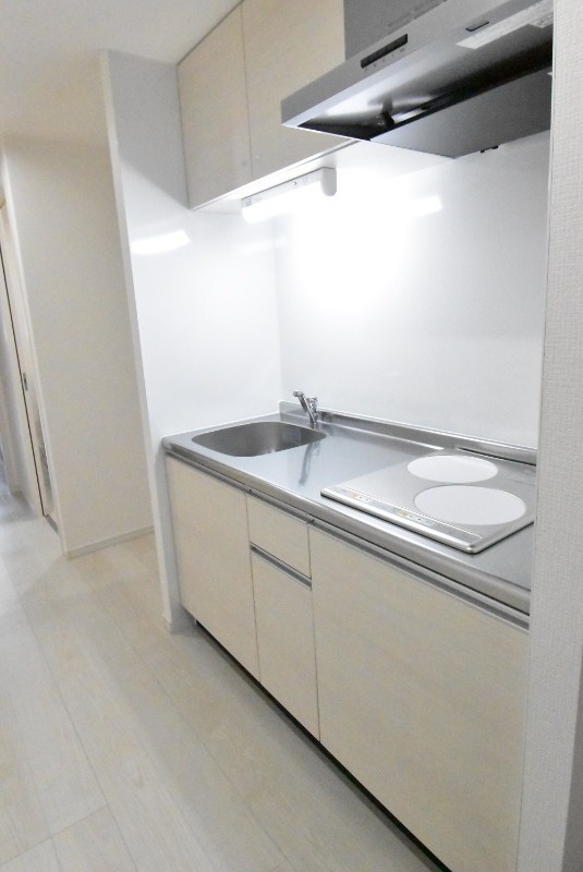 ��ʌ��������܎s�΋�厚����c�̃}���V�����̃L�b�`��