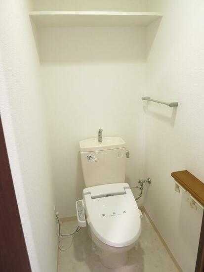 ��ʌ��z�J�s�퐶���̃}���V�����̃g�C��