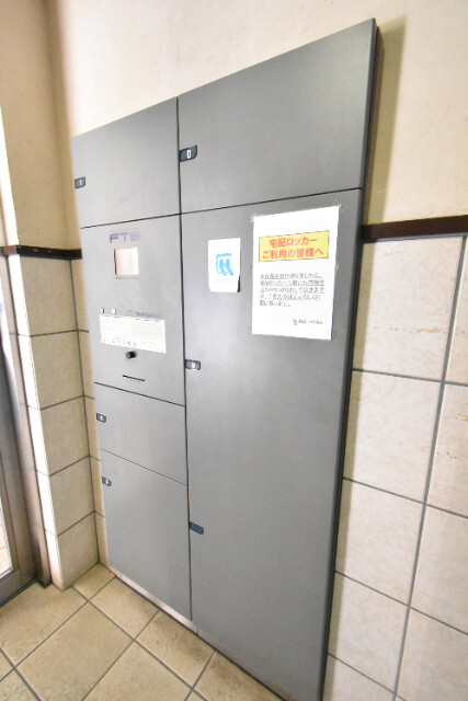 ��ʌ��z�J�s�퐶���̃}���V�����̂��̑�