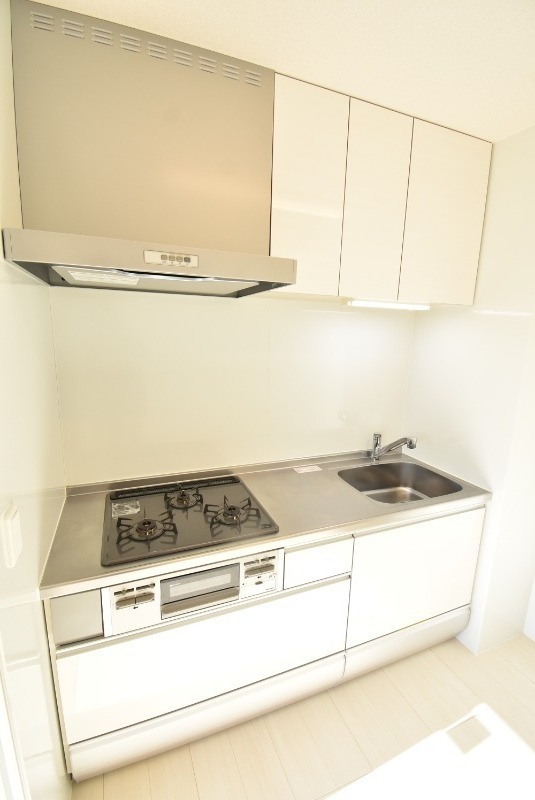 ��ʌ��������܎s�΋�厚�O���̃A�p�[�g�̃L�b�`��