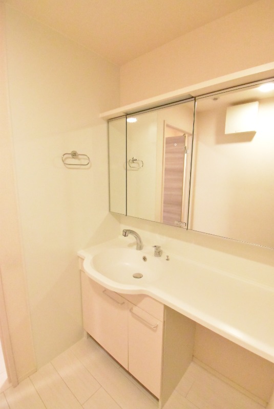 ��ʌ��z�J�s���C�N�^�E���U���ڂ̃A�p�[�g�̐��ʏ�