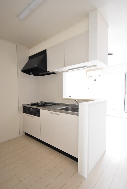 ��ʌ��������܎s�΋�厚���̃A�p�[�g�̃L�b�`��