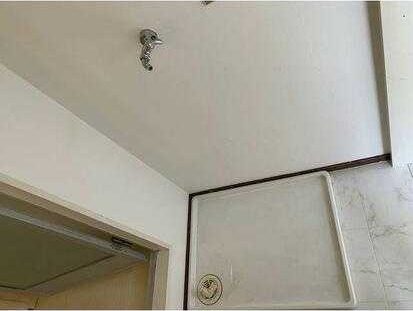 ��ʌ��������܎s������厚���V��̃A�p�[�g�̂��̑��ݔ�