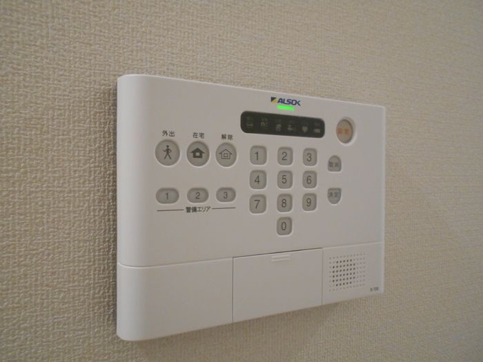 ��ʌ��z�J�s���z�J�R���ڂ̃A�p�[�g�̂��̑�