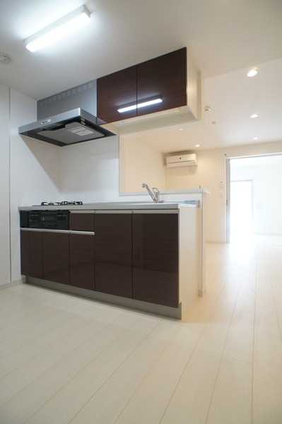 ��ʌ�����s�厚�V��h�̃A�p�[�g�̃L�b�`��