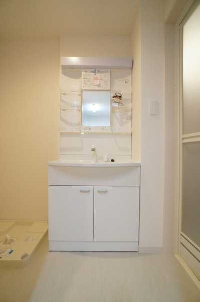 ��ʌ�����s�厚�V��h�̃A�p�[�g�̐��ʏ�