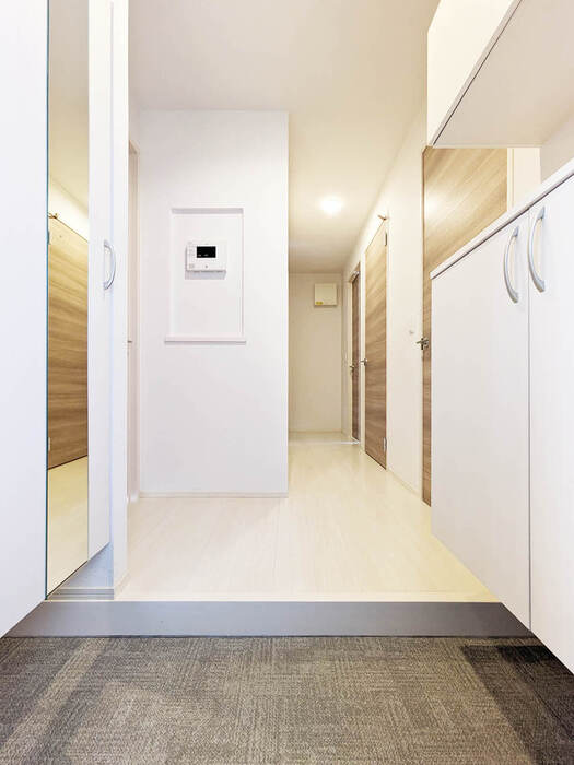 ��ʌ��z�J�s���C�N�^�E���U���ڂ̃A�p�[�g�̌���