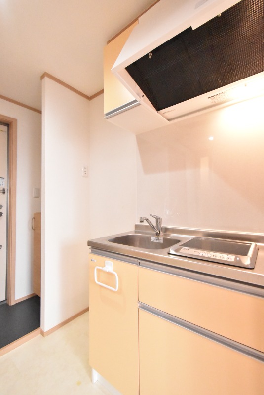 ��ʌ��������܎s�΋�厚���̃A�p�[�g�̃L�b�`��