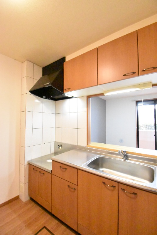 ��ʌ�����s�厚�ΐ_�̃}���V�����̃L�b�`��