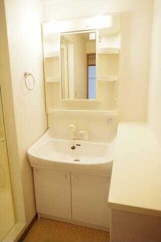 ��ʌ�����s�厚���̃}���V�����̐��ʏ�