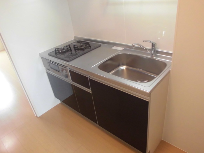 ��ʌ��z�J�s���C�N�^�E���X���ڂ̃A�p�[�g�̃L�b�`��