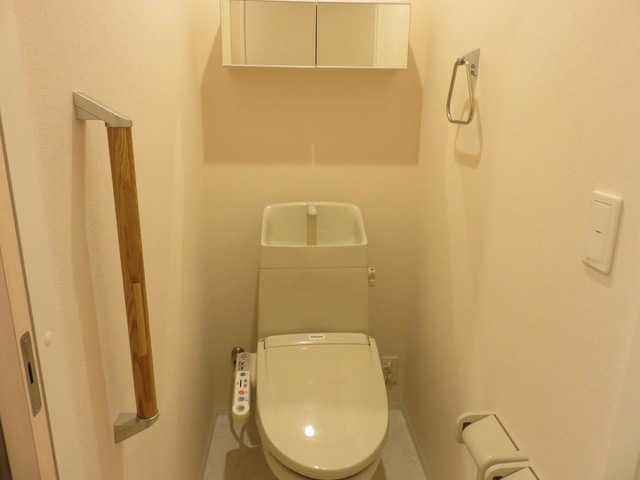 ��ʌ��z�J�s�����{���̃}���V�����̃g�C��