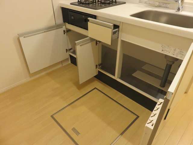 ��ʌ��z�J�s�����{���̃}���V�����̎��[