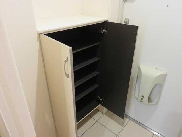 ��ʌ��z�J�s�����{���̃}���V�����̎��[