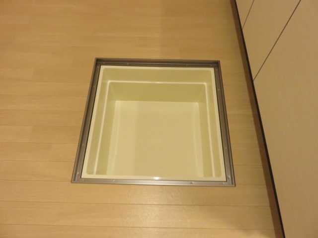 ��ʌ��z�J�s�����{���̃}���V�����̎��[