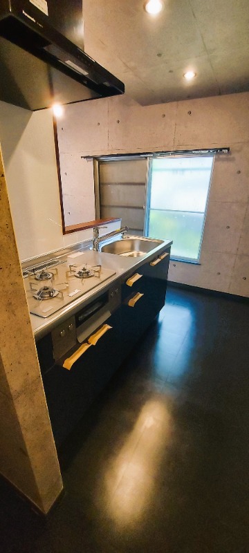 ��ʌ��������܎s�����攪���q�Q���ڂ̈�ˌ��ẴL�b�`��