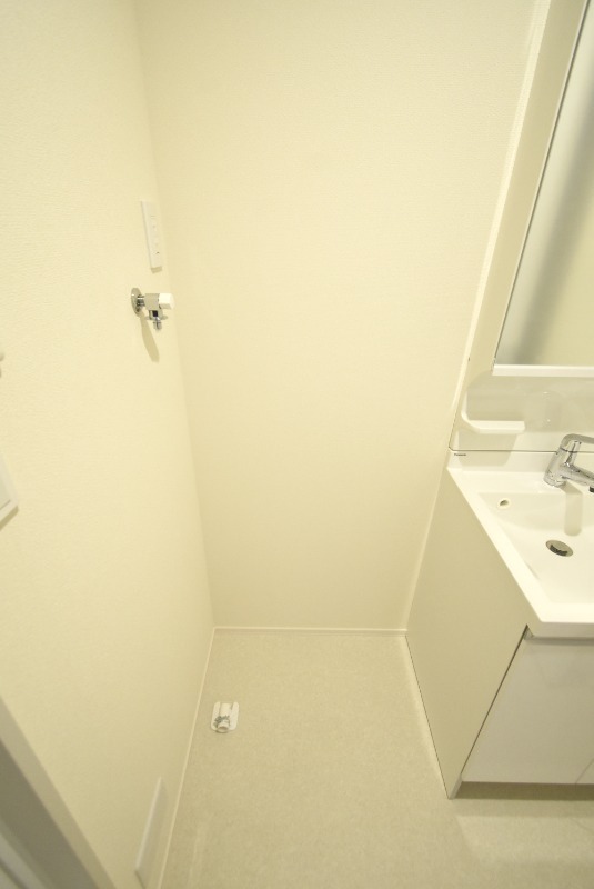 ��ʌ��F�J�s�E�Z�Ԃ̃}���V�����̂��̑�