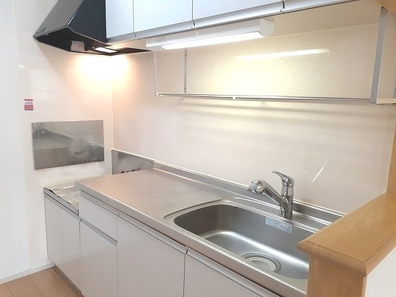 ��ʌ��z�J�s���C�N�^�E���P���ڂ̃A�p�[�g�̃L�b�`��